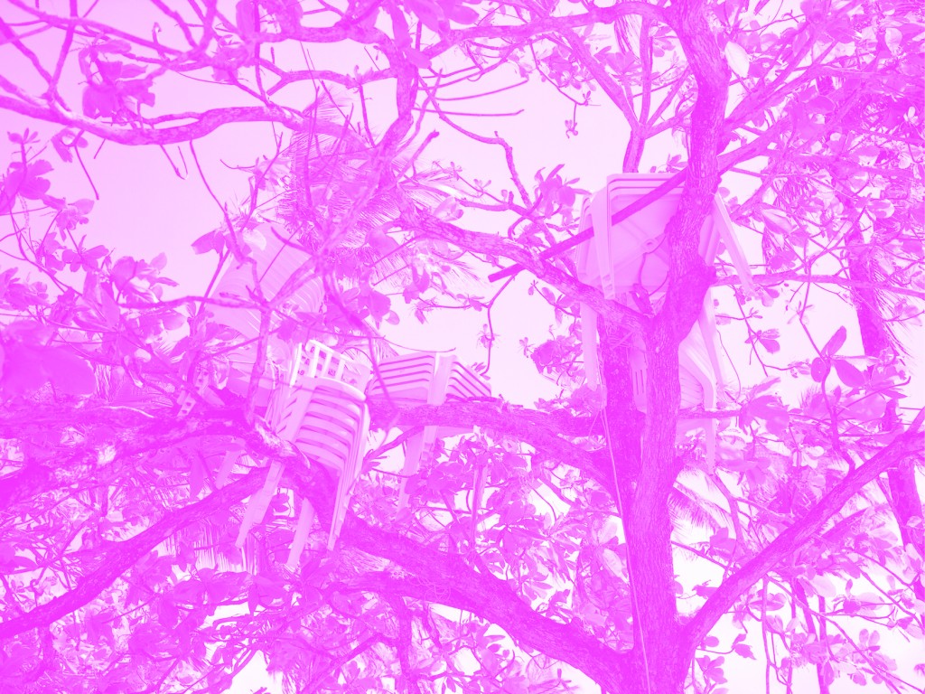 Des chaises en plastique sur un arbre. La photo a un filtre de couleur.