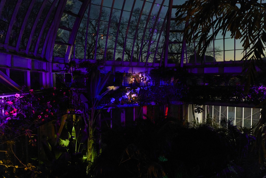 C'est la photo du haut de la cupole de la serre temperée du jardin b otanique. On voit le crepuscule, et aussi des lumieres dont les rfets va egalement sur les plantes.