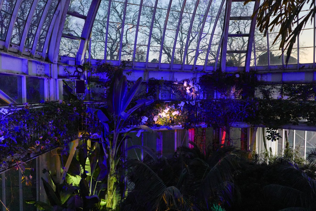 C'est une photo d'une partie de la cupole de la serre temperée du jardin botanique. On voit des lumieres et des reflets sur les plantes.