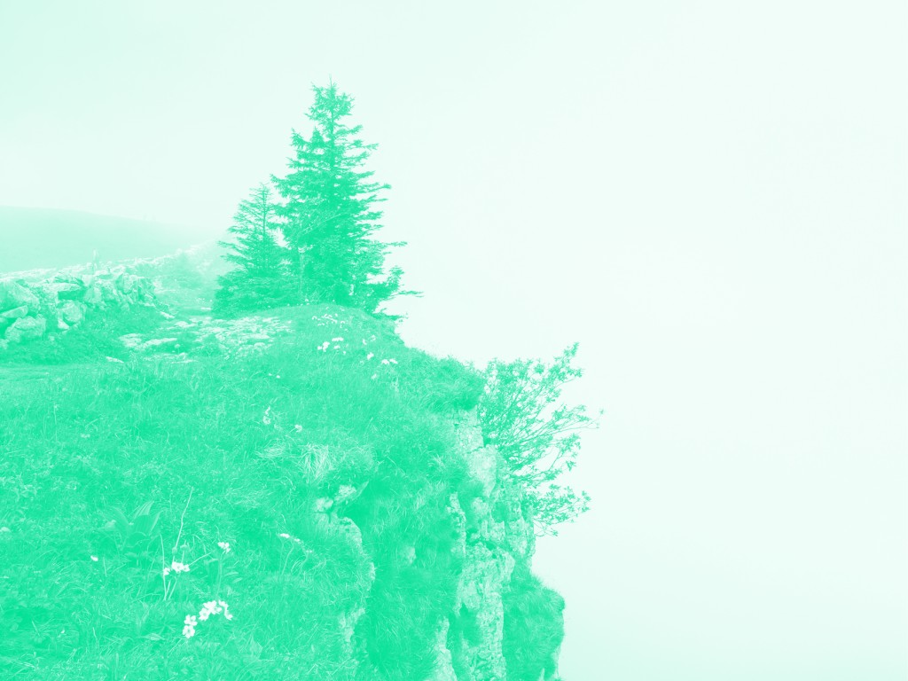C'est la photo d'un precipice avec un arbre et un peu de végétation. La photo a un filtre de couleur.