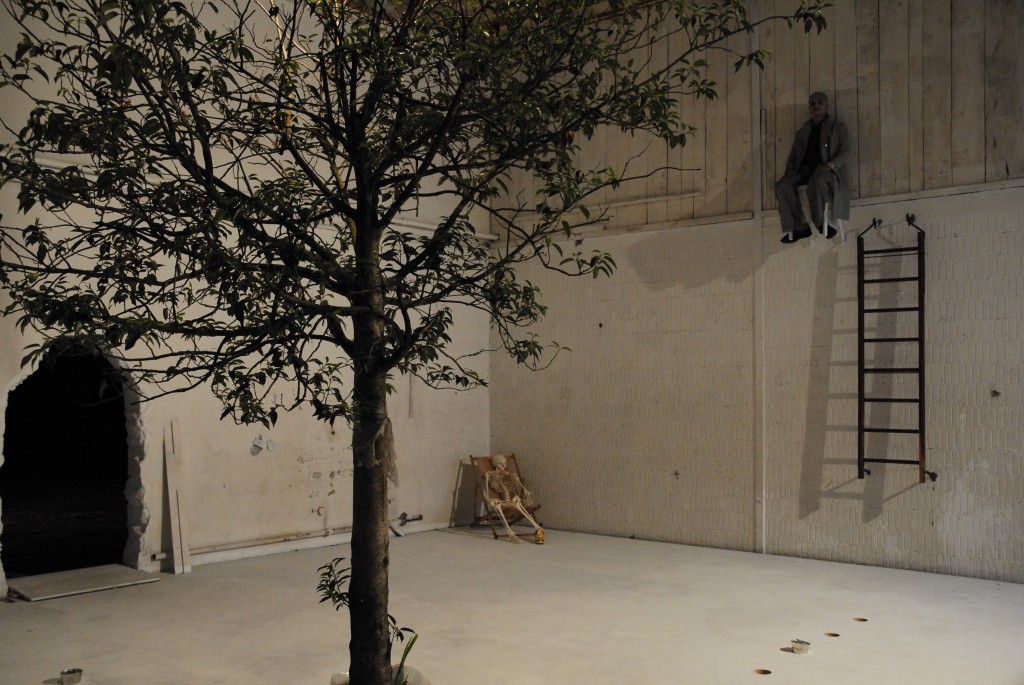 C'est la scénographie du spectacle on voit un arbre, une echelle, une ouverture à gauche
