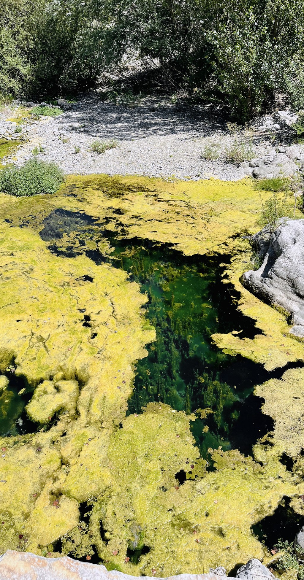 C'est la photo d'une rivière presque seche. Il y a pas mal de rochers, des pierres et un peu de verdure ainsi que du jaune comme des algues.
