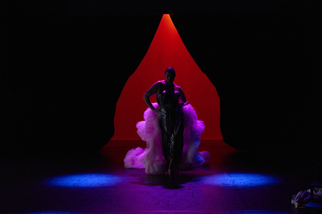 On apérçoit la silhouette de Léa dans le fond de scène entre deux rideaux noirs qui sont en train de se lever de chaque côtés. Elle porte une robe avec une grande queu à volants fucsia.
