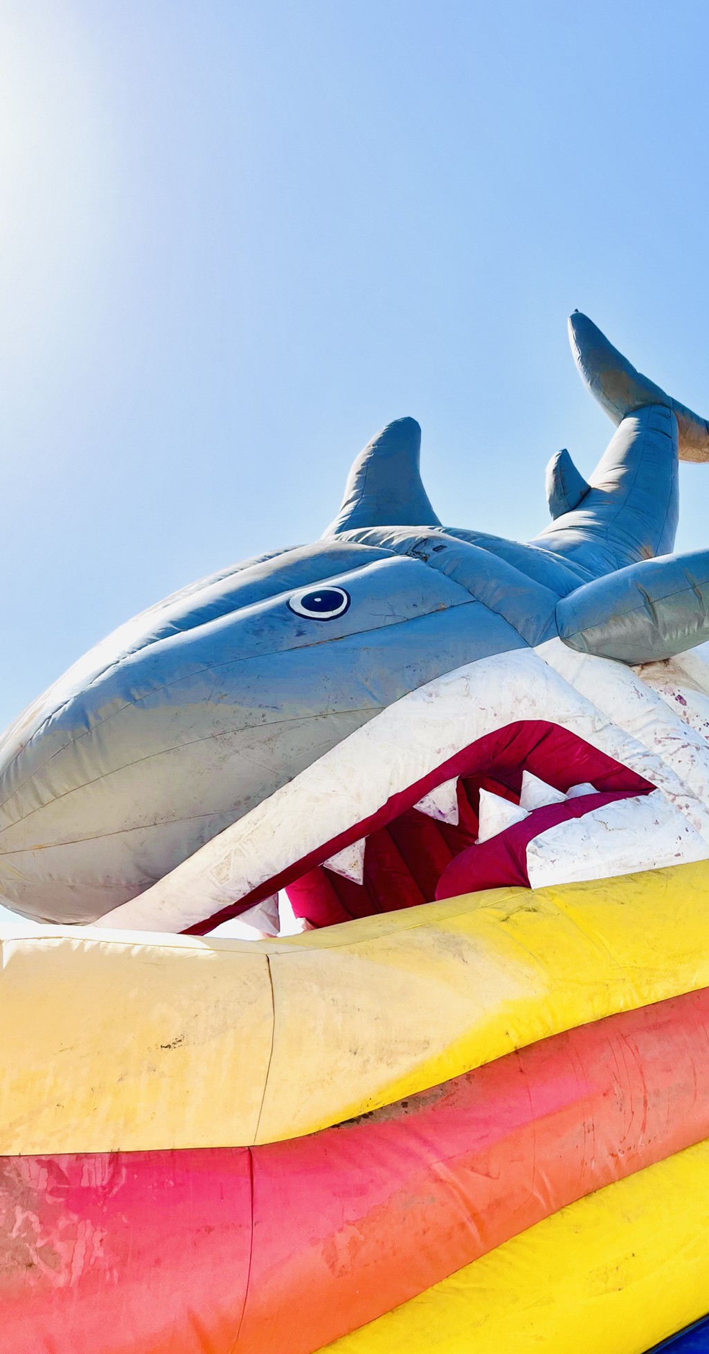 C'est un requin gonflable sur un tobogan gonflable.