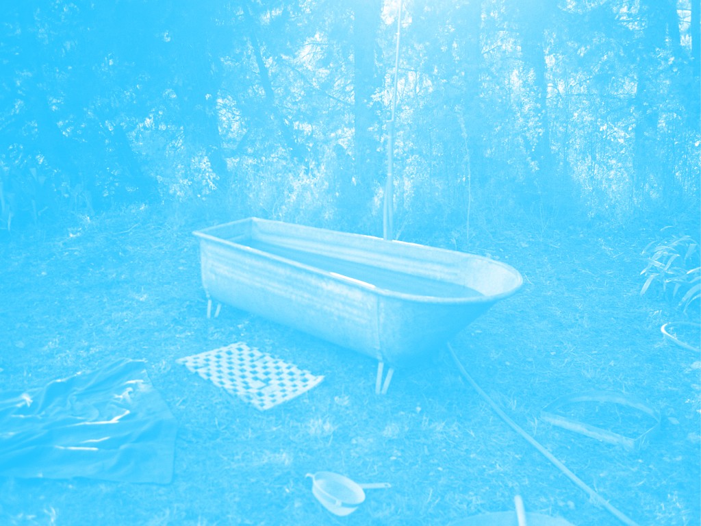 Une baignoire abandonnée dans une fôret. La photo a un filtre de couleur.
