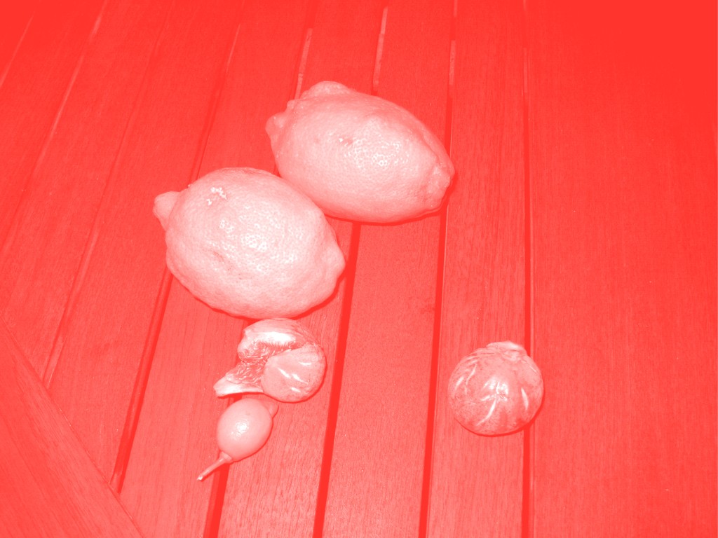 Deux citrons et deux figues sur une table. La photo a un filtre de couleur.