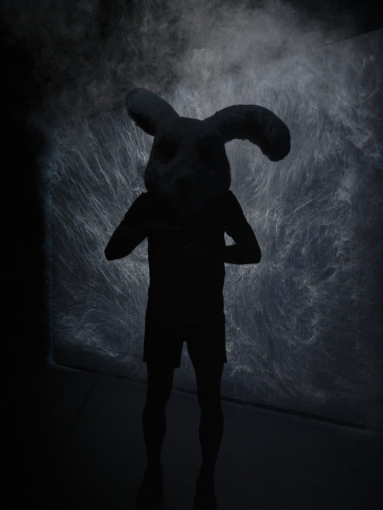 C'est la silhouette d'une personne, on voit que son ombre elle porte un masque avec de grands oreilles